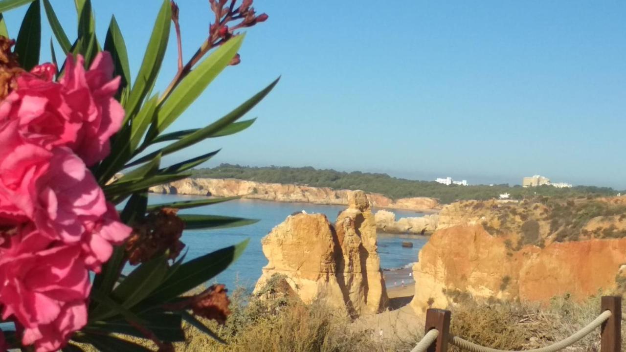 Albur Village B - Camomile Alvor Kültér fotó