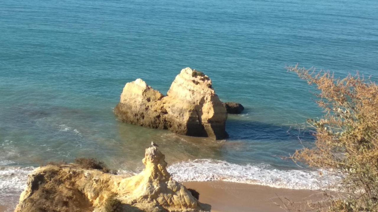 Albur Village B - Camomile Alvor Kültér fotó
